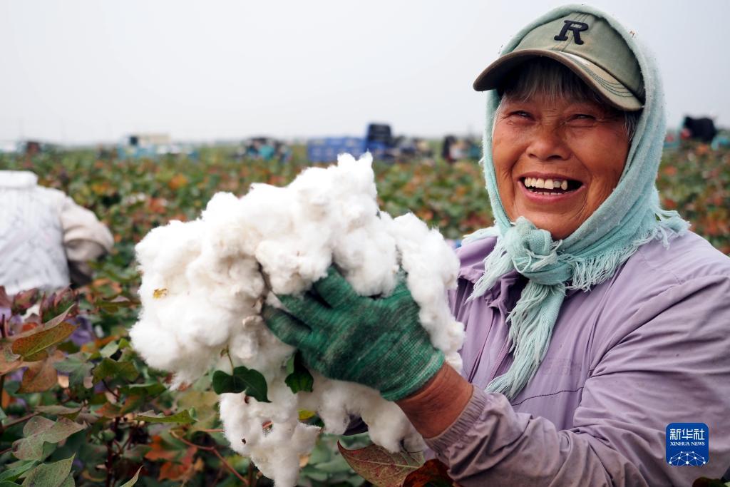 菠菜台子导航